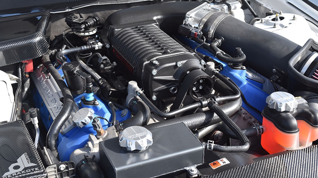 Michael Sigouin, Muscle Cars, Blowndeadline, 2011 Shelby GT500, engine