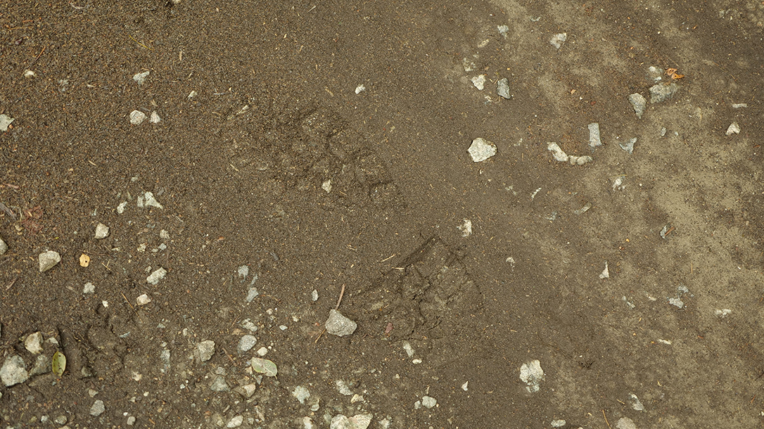Human Tracking, footprint, wilderness