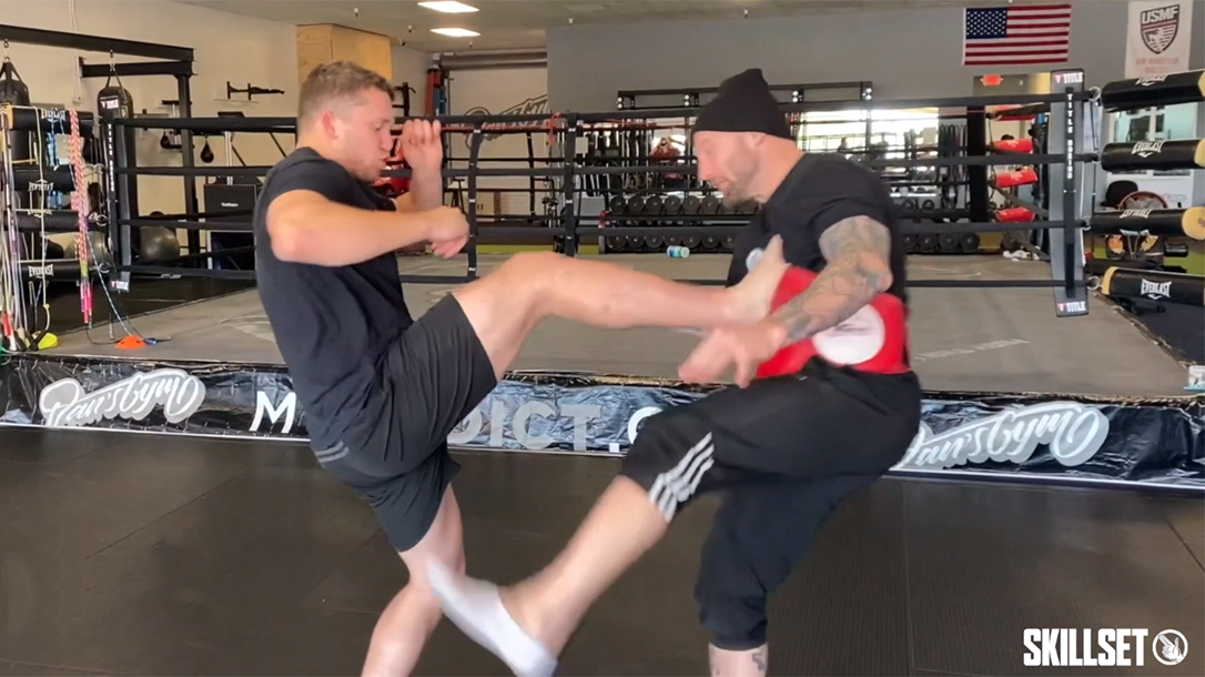 push kick, teep kick, fight defense