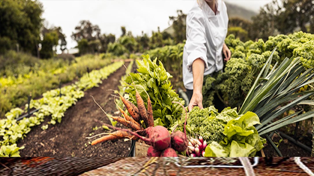 Fresh vegetables direct from the farm are what's best for your family.