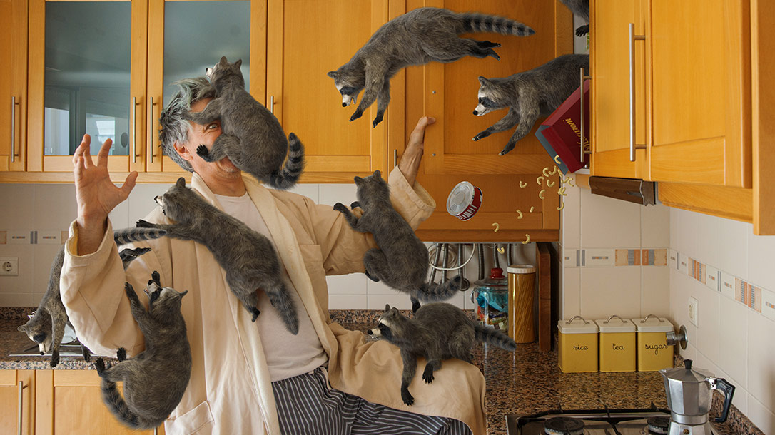 Killer Animals: Not All Predators Are Large and Intimidating.