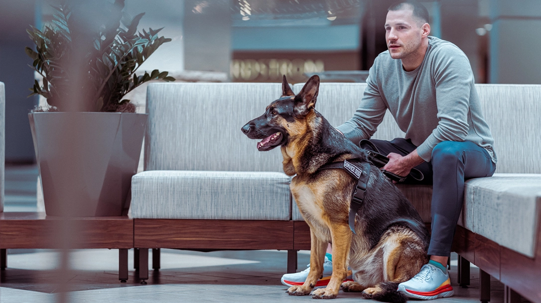 Mans best friend, or a member of the family, that's how most dog lovers feel about their canine.