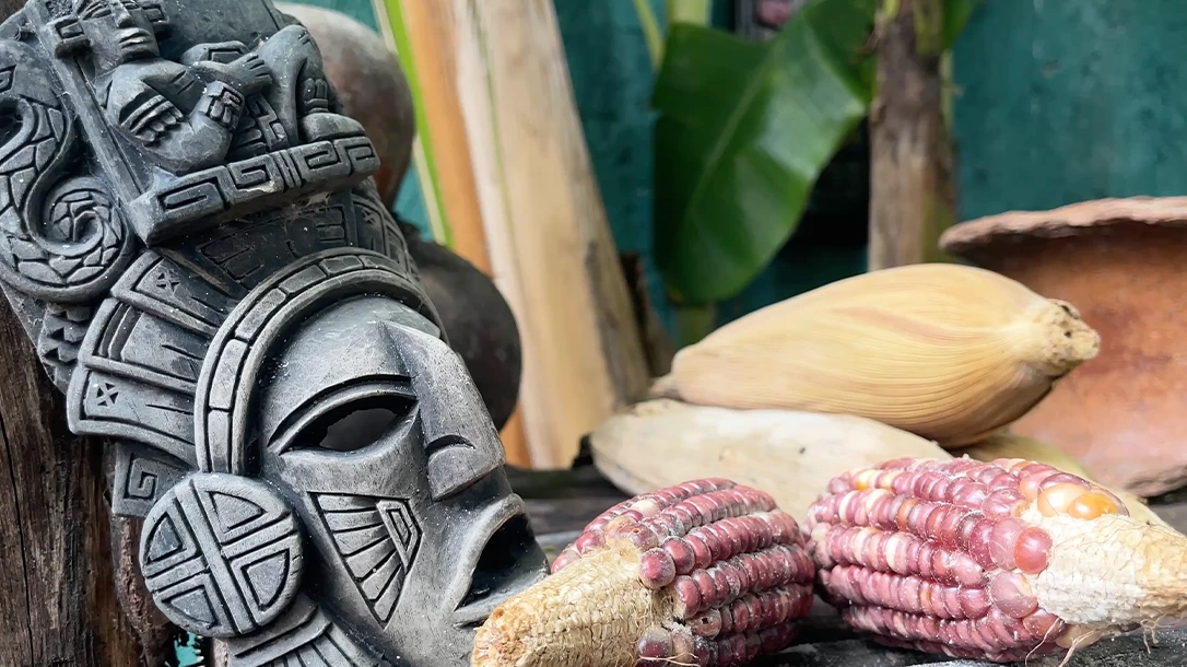 Explore the ancient grains and forgotten vegetables that once graced our ancestors' tables.