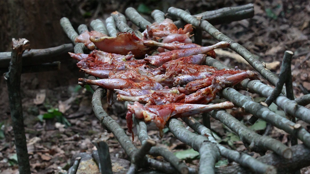 A swamp grill was made by the author with chicken barbecuing over a low flame and coals.