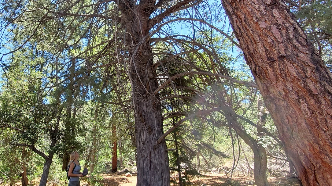 The article highlights tragic consequences of inadequate preparation in hiking.