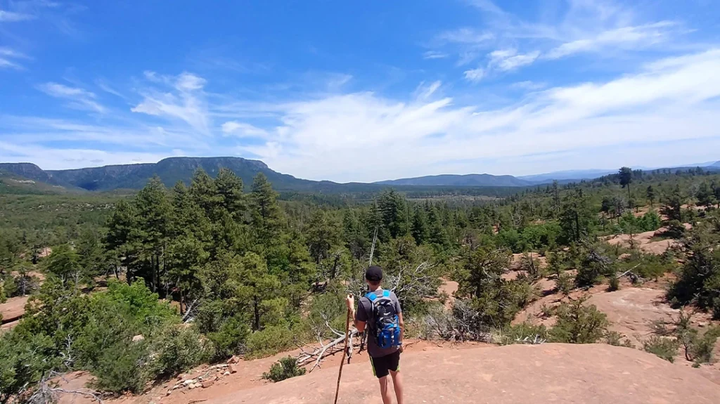 Learn how to stay safe while hiking by understanding essential gear, weather conditions.