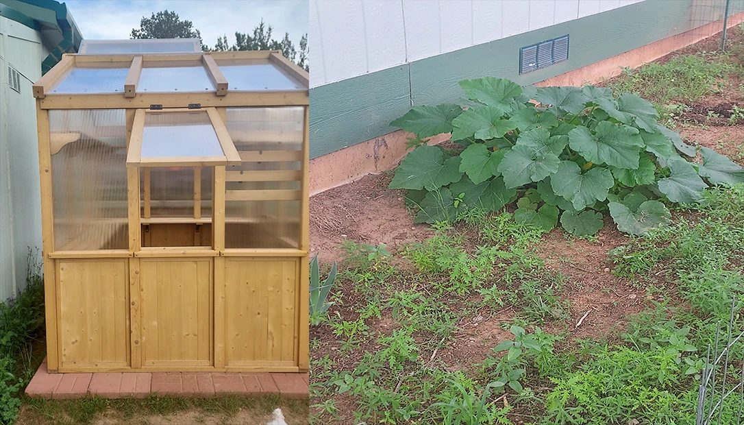 This guide provides step-by-step instructions for building a productive survival garden.