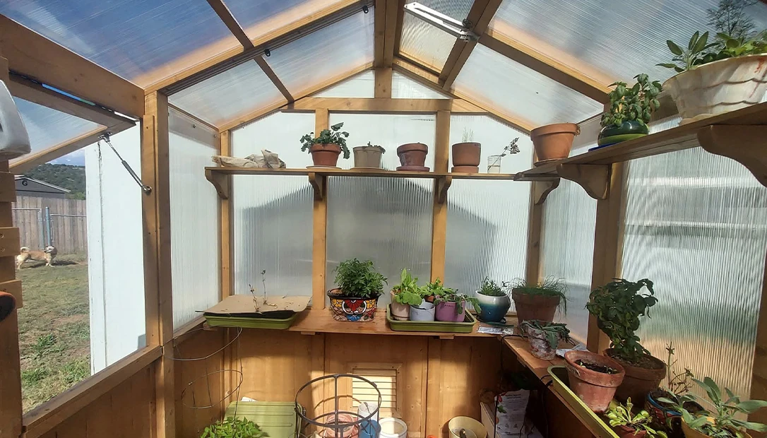 Prep for the future: Learn to design, plant, and maintain a robust survival garden.