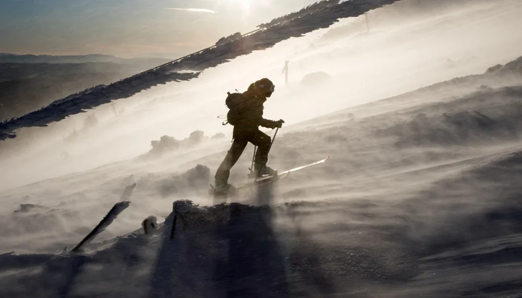 Each narrative within survival stories serves as a powerful testament to the triumph of will and ingenuity.