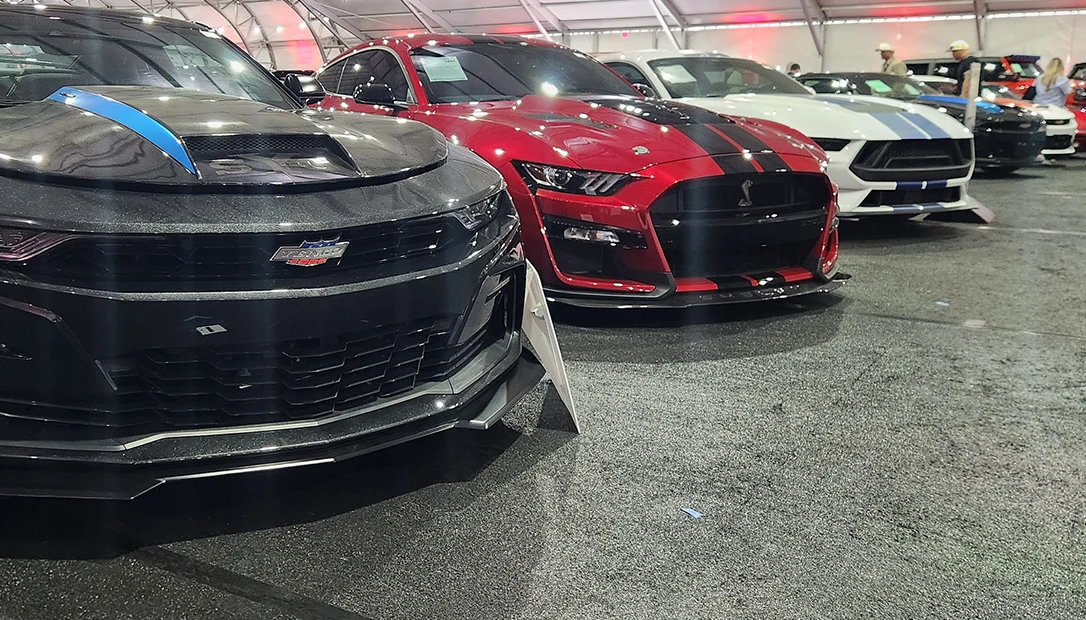 A stellar lineup of modern-day muscle.