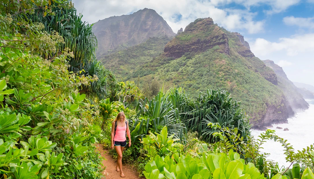 A winding trail weaves through Waimea Canyon,