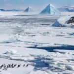 The frozen landscape stretches endlessly beyond the restricted area, hinting at secrets hidden beneath the ice.